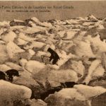 Missions Nord Canada