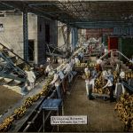 New Orleans - Unloading Bananas