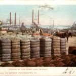 New Orleans - Cotton on the Levee