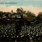 Cotton Pickers