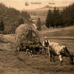 Houffalize - Paysage