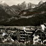 Chateau d Oex - La Soldanelle