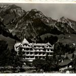 Chateau d Oex - La Soldanelle