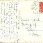 Chateau d Oex - La Soldanelle