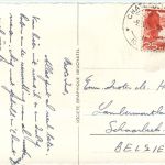 Chateau d Oex - La Soldanelle