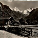 Wilderswil