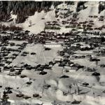 Adelboden