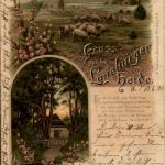 Gruss aus der Lüneburger Heide - Litho
