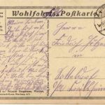 Sanitätshund - Rotes Kreuz