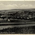 Rimpar von den Weinbergen