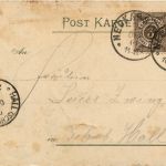 Krug Käfer Fuchs - Kleeblatt