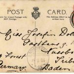 King Edward VII