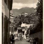 MAdeira - Strasse in Funchal
