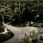 Bad Lausigk - Motiv aus dem Kurpark