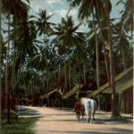 Penang - Native Village