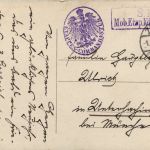 Zabern - Rosengarten - Saverne