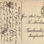 Wacholderwildland auf dem Dornbruch zwischen Hilchenbach Müsen und Brachthausen