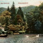 Bad Bertrich, Schwanenteich