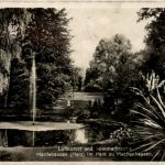 Kurort Harriehausen Harz, Im Park zu hachenhausen