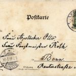 Hildesheim, 1000 jähriger Rosenstrauch