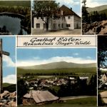 Neuschönau, Gasthof Euler, div. Bilder