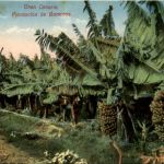 Gran Canaria - LAs Palmas