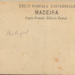 Madeira - Rapazes a mergulhar