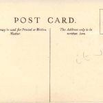 Nigeria - Climbing Oil Palms