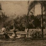 Brisbane - Botanic Gardens