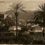 Madeira - Funchal