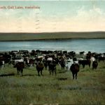 Assiniboia - Gull Lake