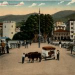 Madeira - Avenida Gonsalves Zarco