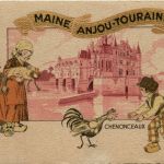 Maine Anjou-Touraine - Chenonceaux
