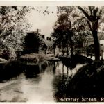 Bickerley Stream - Ringwood