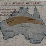 An Australian Gum Leaf