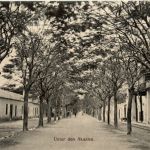 Deutsch Ost Afrika - Dar-es-Salaam - Unter den Akazien