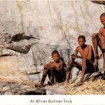 African Bushmen Study - Zimbabwe