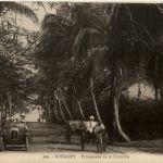 Guinee - Promenade de la Corniche