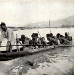 Sierra Leone - Arberdeen - Ferry Boat