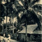 Madagascar - Sous les cocotiers d Anivorano