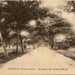 Cameroum - Douala - Avenue du Grand hotel
