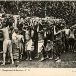 Chargement de bananes