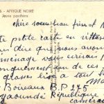 Afrique Noire - Jeune panthere