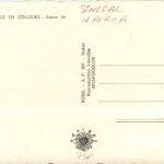 Senegal