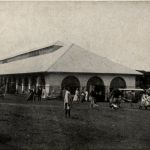Sierra Leone - Freetown - Vegetable Market