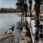 Senegal - Scene de vie au bord du Fleuve