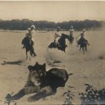 Eritrea - Caccia al leone