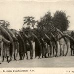Le resultat d une hecatombe