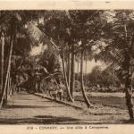 Conakry - Une allee a Camayenne