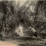 Djibouti - JArdin du Gouvernement a Hambouli